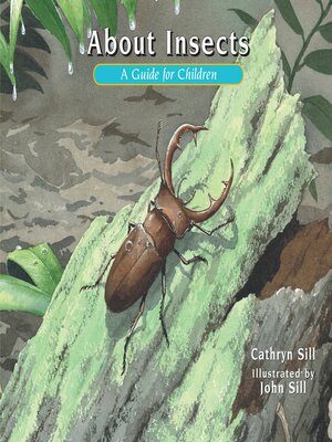 About Insects - ebook